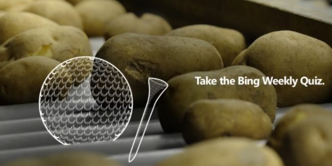 Bing-End-of-Week-Quiz1