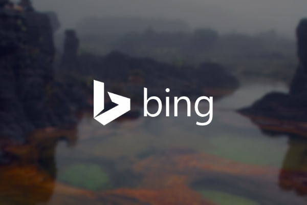 bing-featured-image-800×400